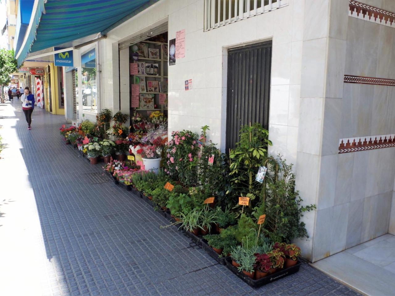 Suite Homes La Victoria Málaga Eksteriør bilde
